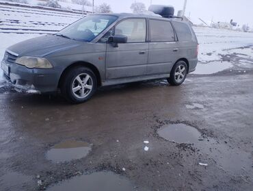 авто хайлендер: Honda Odyssey: 2001 г., 2.3 л, Автомат, Газ, Минивэн