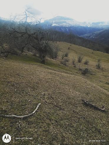 Torpaq sahələrinin satışı: 130 sot, Kənd təsərrüfatı, Kupça (Çıxarış) — 9