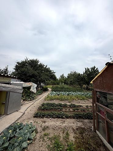 Продажа коттеджей и домов: 🏡 Продается уютный дом в Сокулуке! 📍 Характеристики: • Участок — 15 — 6