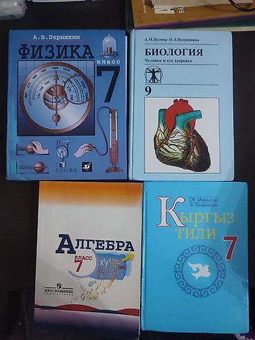 Новые школьные учебники русского класса - Физика, 7 класс — А. В