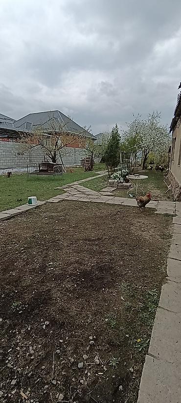 Продажа коттеджей и домов: Продаётся дом Арча Бешик с участком с двором и постройками. участок — 1