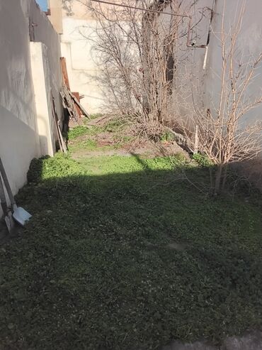 Həyət evləri və villaların satışı: M.Ə. Rəsulzadə qəs. 4 otaqlı, 70 kv. m, Təmirsiz -da lalafo.az — 10 Həyət evləri və villaların satışı: M.Ə. Rəsulzadə qəs. 4 otaqlı, 70 kv. m, Təmirsiz — 10