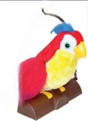 mango torbe srbija: PAPAGAJ KOJI PONAVLJA RECI NOV BRBLJIVI PAMETNI PAPAGAJ TOP | Cene — 7