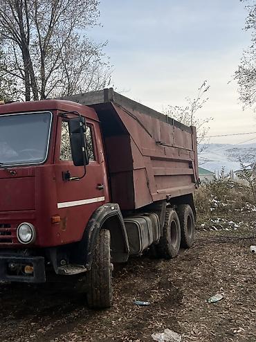 Грузовики: Грузовик, Камаз, Б/у — 11