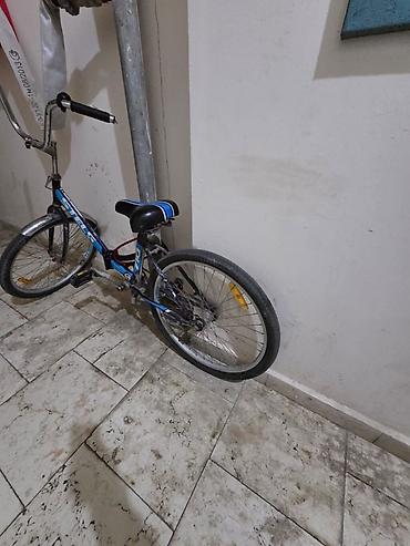 bicycle standart: Stels şəhər/kruser tipli velosiped - Çərçivə: polad, aşağı girişli — 3