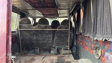 5 5 compressor: Ford Transit: 1994 г., Механика, Дизель, Фургон — 6