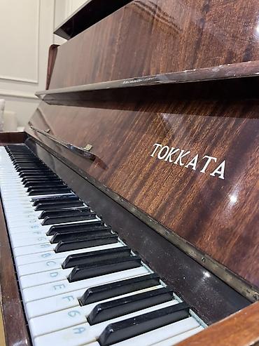 Klavişli alətlər: Tokkata upright pianino - Model: Tokkata, dik pianino (upright) - — 1