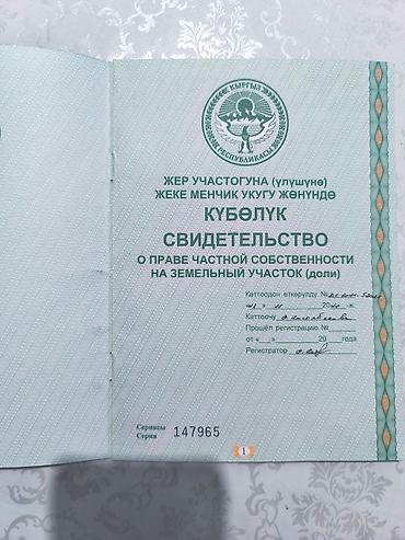 кашао: 96 соток — 2