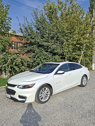 Chevrolet Malibu: 2016 г., 1.8 л, Автомат, Бензин, Седан at lalafo.kg Chevrolet Malibu: 2016 г., 1.8 л, Автомат, Бензин, Седан