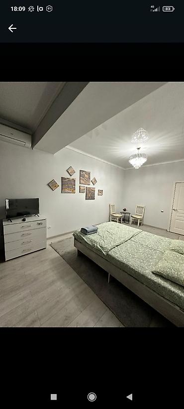 Посуточная аренда квартир: 1 комната, Душевая кабина, Постельное белье, Кондиционер — 4