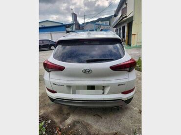 растения комнатные в ассортименте: Hyundai Tucson 1.7 diesel 2017 разбор на запчасти Скоро будет