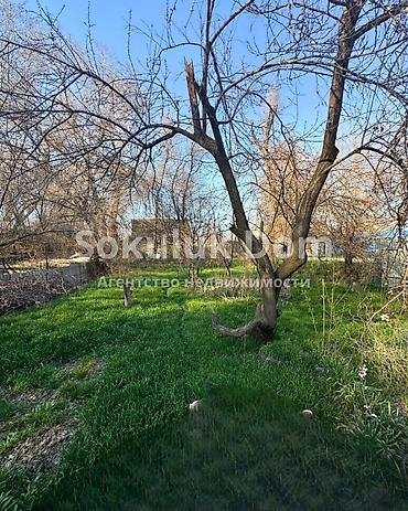 Продажа коттеджей и домов: 🏠Продается дом в с. Сокулук 🟡 Комнаты: 4 🟡 Участок: 11 соток (по факту — 6