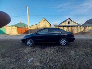 Toyota: Toyota Corolla: 2003 г., 1.8 л, Автомат, Бензин, Седан — 8