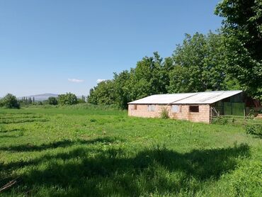 купить коммерческую недвижимость: Для сельского хозяйства