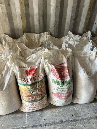 сколько стоят луковицы тюльпанов оптом: Отруби, кебек, в мешках по 25 кг
Самовывоз. С. Новопокровка