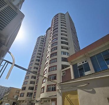 6 otaqlı, Yeni tikili, 537 kv. m