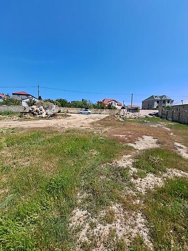 sarayda torpag: 20 sot, Tikinti, Mülkiyyətçi, Kupça (Çıxarış) — 1