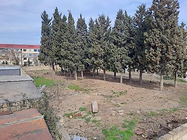 Torpaq sahələrinin satışı: 25 sot, Kupça (Çıxarış) — 10