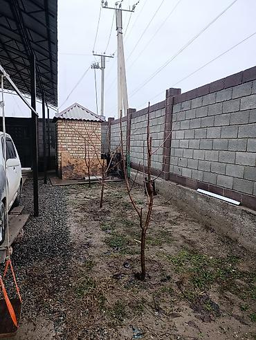 Продажа коттеджей и домов: Продаётся кирпичный дом с большим участком и капитальным ограждением — 5