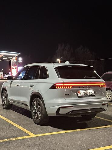 ml 163: Geely Monjaro: 2022 г., 1.5 л, Гибрид, Кроссовер — 7