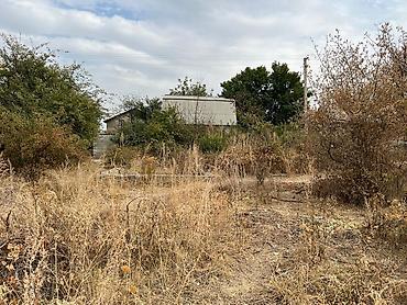 Продажа участков: 5 соток, Для строительства, Красная книга at lalafo.kg — 8 Продажа участков: 5 соток, Для строительства, Красная книга — 8