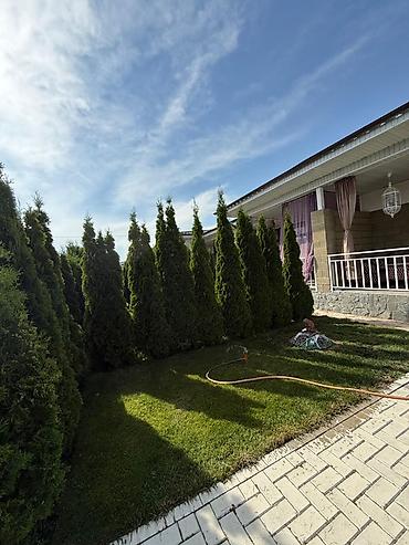 Продажа коттеджей и домов: Продается коттедж в селе Чок-Тал Palm Beach с обустроенным участком и — 35