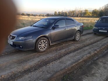 токмок машина кж: Honda Accord: 2003 г., 2 л, Автомат, Бензин, Седан