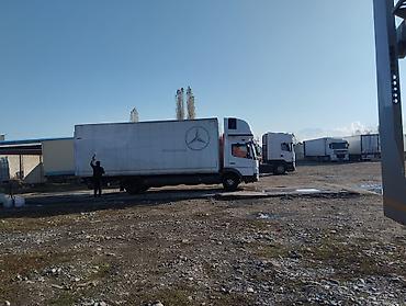 купить скотовоз: Грузовик, Mercedes-Benz, Стандарт, 7 т, Б/у — 5