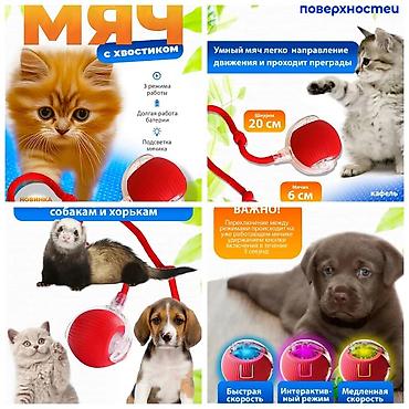 Зоотовары: Продаю игрушку/когтеточку/лежанку 3в1,с кошачей мятой,вашему котику at lalafo.kg — 9 Зоотовары: Продаю игрушку/когтеточку/лежанку 3в1,с кошачей мятой,вашему котику — 9