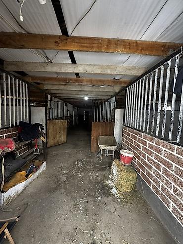 Продажа сельхоз предприятий: Конюшня/стабиль с утеплением и вспомогательными помещениями Описание — 8