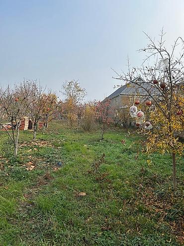 Torpaq sahələrinin satışı: Tikinti — 15