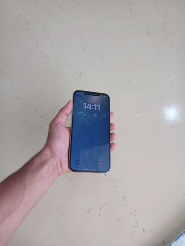 IPhone 12 Pro Max, Gümüşü
