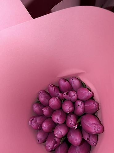 Букеты из живых цветов: ‼️‼️‼️новый прайс на тюльпаны выше 300 штук по 70 сом Высота 50/60 см — 5