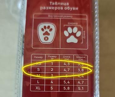 Айыл-чарба жаныбарлары: Новая обувь на собаку мелкой породы. размер и замер внимательно — 5