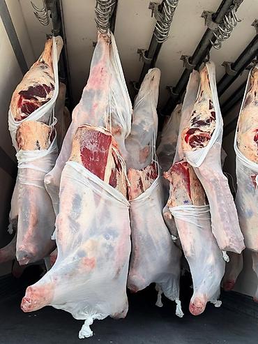 Продукты питания: Туша — 1