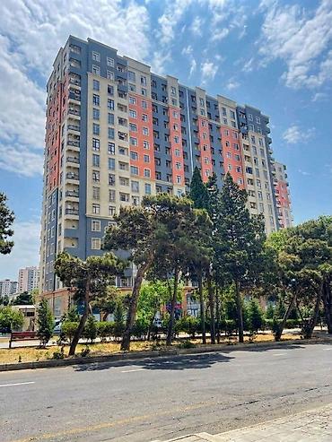 orbita mtk: 1 otaqlı, Yeni tikili, m. Qara Qarayev, 36 kv. m — 1
