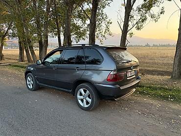 1 9 тди: BMW X5: 2003 г., 3 л, Автомат, Дизель, Кроссовер — 4
