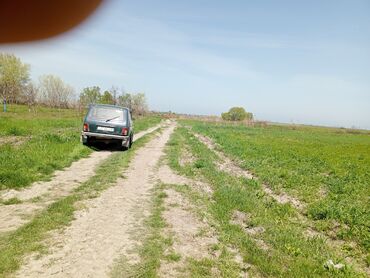 Torpaq sahələrinin satışı: 187 sot, Kənd təsərrüfatı, Barter mümkündür, Texniki pasport -da lalafo.az — 10 Torpaq sahələrinin satışı: 187 sot, Kənd təsərrüfatı, Barter mümkündür, Texniki pasport — 10