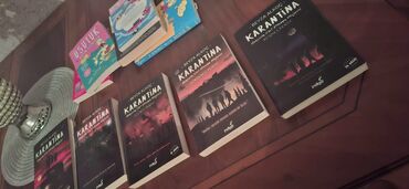 Digər kitablar və jurnallar: Müxtəlif janrlarda kitab dəsti. Dəstə "Karantina" seriyasından — 3