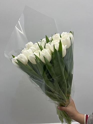 Другие услуги в сфере красоты и здоровья: Тюльпаны по 100 сом 
Оформим, доставим во время ☺️ 
От 200 шт 90 сом — 26
