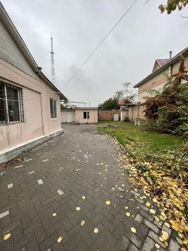 арендага столовый берилет: 65 м²