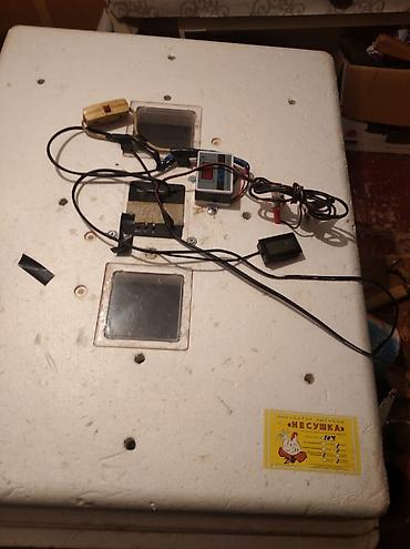 Kənd təssərüfatı avadanlığı: ❇️Inkinator satilir 104 yumurtaliqdi problemi yoxdur satilir 250man — 5