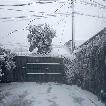 Продажа коттеджей и домов: ЮНУСАЛИЕВА/АХУНБАЕВА! 4-х комнатный дом! ПРОСТОРНЫЙ ДВОР покрыт — 19