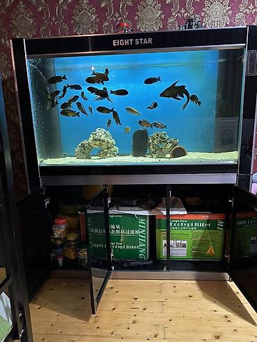 Akvariumlar: Akvarium-şkaf, Boş, 487 l, Ödənişli çatdırılma — 3