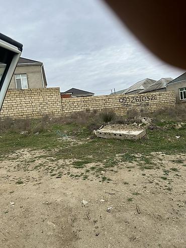 kupça: 3 sot, Tikinti, Maklerlər narahat etməsin, Kupça (Çıxarış) — 3