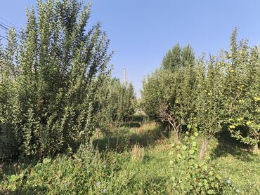 село луговое: 6 соток, Для сельского хозяйства