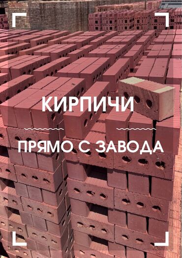сок рики: Тешиктүү, Бышкан кирпич, Жарым блок, 250×120×90