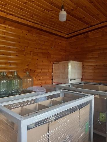 Продажа участков: 7 соток, Красная книга, Тех паспорт, Договор дарения at lalafo.kg — 5 Продажа участков: 7 соток, Красная книга, Тех паспорт, Договор дарения — 5