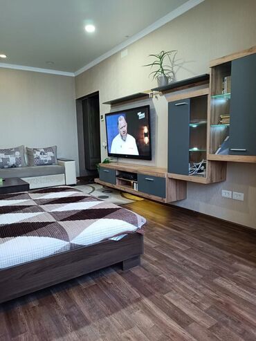 купить дом на берегу иссык куля: 1 комната, 45 м², Элитка, 8 этаж, Евроремонт