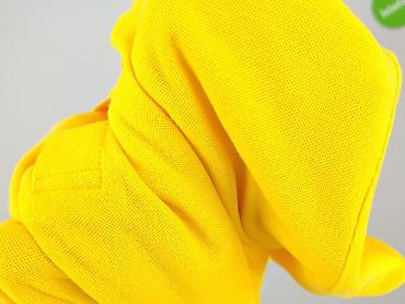 pull amd bear: Koszulka polo dla mężczyzn, rozmiar L — 5